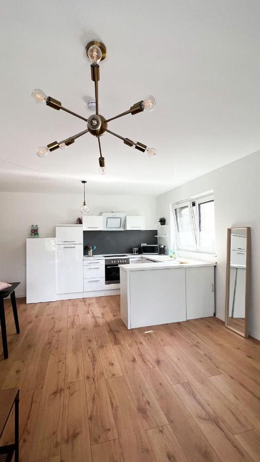 2 Zkb Apartment In Mannheim Kueche - Parken - Grosser Tv Экстерьер фото